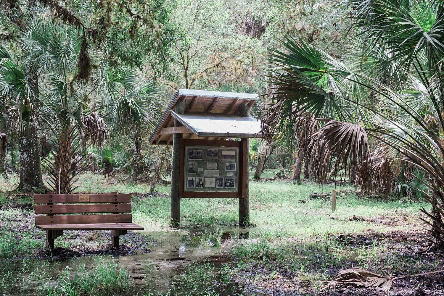 Sabal palms and moss-draped live oaks around a bench and trail kiosk at Myakka River State Park