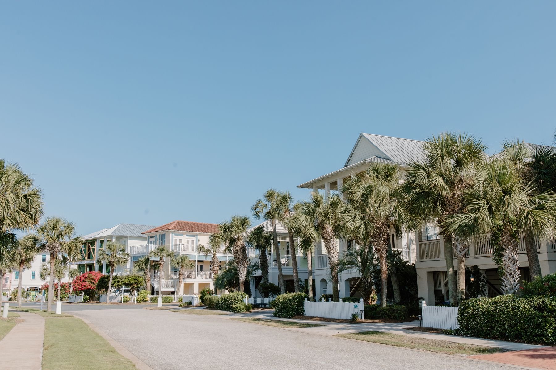Palm-lined residential street with coastal-style houses under a clear blue sky